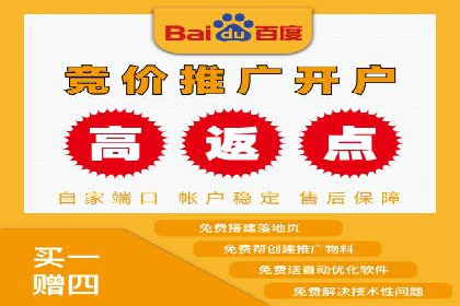 高效百度竞价策略分享与案例
